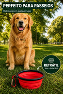 Bebedouro e Comedouro Retrátil 350ml para Cães e Gatos